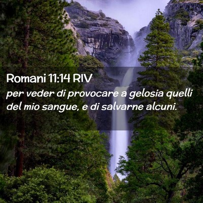 Picture 02 - Romani 11:14 RIV - per veder di provocare a gelosia quelli del mio - Bible Verse Picture