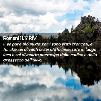 Picture 02 - Romani 11:17 RIV - E se pure alcuni de’ rami sono stati troncati, - Bible Verse Picture