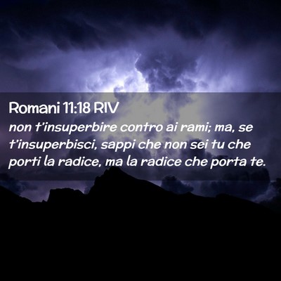 Picture 02 - Romani 11:18 RIV - non t’insuperbire contro ai rami; ma, se - Bible Verse Picture