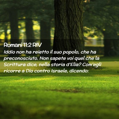 Picture 02 - Romani 11:2 RIV - Iddio non ha reietto il suo popolo, che ha - Bible Verse Picture