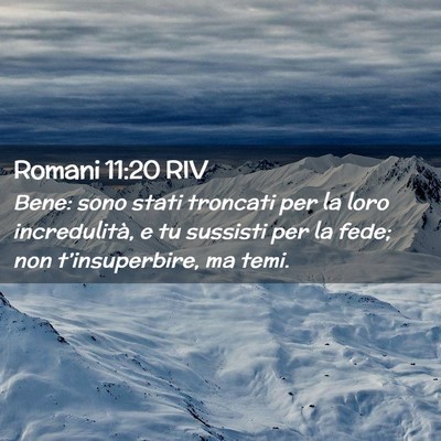 Picture 02 - Romani 11:20 RIV - Bene: sono stati troncati per la loro - Bible Verse Picture