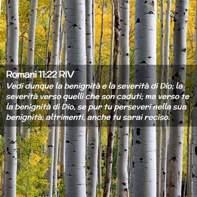 Picture 02 - Romani 11:22 RIV - Vedi dunque la benignità e la severità di Dio; - Bible Verse Picture