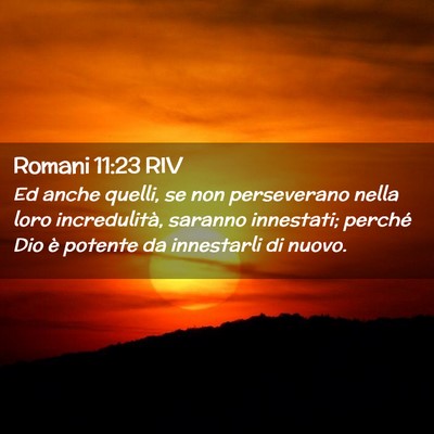Picture 02 - Romani 11:23 RIV - Ed anche quelli, se non perseverano nella loro - Bible Verse Picture