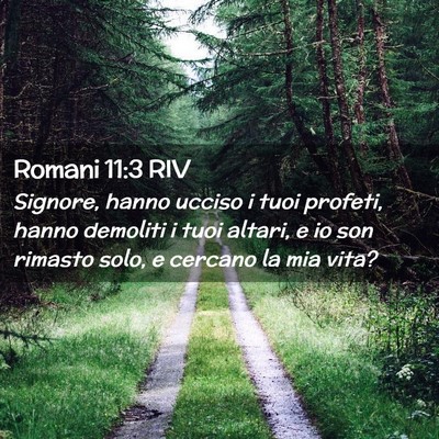 Picture 02 - Romani 11:3 RIV - Signore, hanno ucciso i tuoi profeti, hanno - Bible Verse Picture