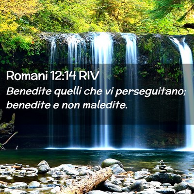 Picture 02 - Romani 12:14 RIV - Benedite quelli che vi perseguitano; benedite e - Bible Verse Picture