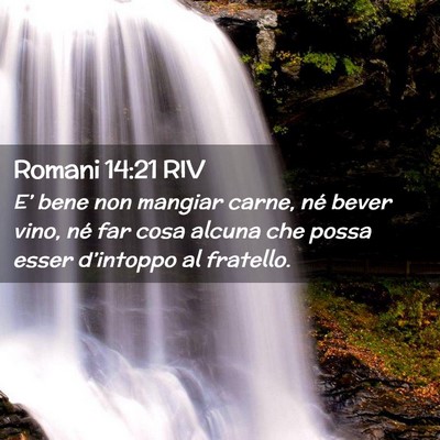 Picture 02 - Romani 14:21 RIV - E’ bene non mangiar carne, né bever vino, né - Bible Verse Picture
