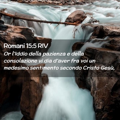 Picture 02 - Romani 15:5 RIV - Or l’Iddio della pazienza e della consolazione - Bible Verse Picture
