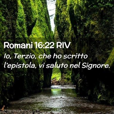 Picture 02 - Romani 16:22 RIV - Io, Terzio, che ho scritto l’epistola, vi - Bible Verse Picture