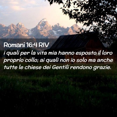 Picture 02 - Romani 16:4 RIV - i quali per la vita mia hanno esposto il loro - Bible Verse Picture