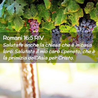 Picture 02 - Romani 16:5 RIV - Salutate anche la chiesa che è in casa loro. - Bible Verse Picture