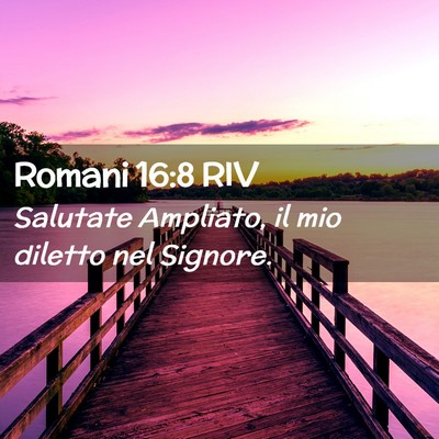 Picture 02 - Romani 16:8 RIV - Salutate Ampliato, il mio diletto nel - Bible Verse Picture