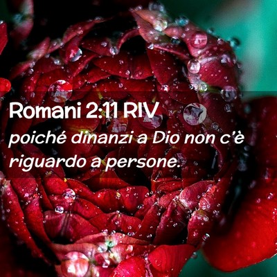 Picture 02 - Romani 2:11 RIV - poiché dinanzi a Dio non c’è riguardo a - Bible Verse Picture
