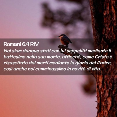 Picture 02 - Romani 6:4 RIV - Noi siam dunque stati con lui seppelliti mediante - Bible Verse Picture