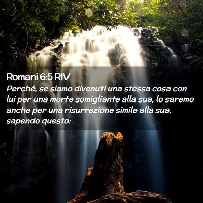 Picture 02 - Romani 6:5 RIV - Perché, se siamo divenuti una stessa cosa con - Bible Verse Picture