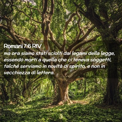 Picture 02 - Romani 7:6 RIV - ma ora siamo stati sciolti dai legami della - Bible Verse Picture