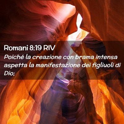 Picture 02 - Romani 8:19 RIV - Poiché la creazione con brama intensa aspetta la - Bible Verse Picture