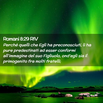 Picture 02 - Romani 8:29 RIV - Perché quelli che Egli ha preconosciuti, li ha - Bible Verse Picture