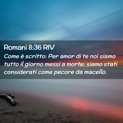 Picture 02 - Romani 8:36 RIV - Come è scritto: Per amor di te noi siamo tutto - Bible Verse Picture