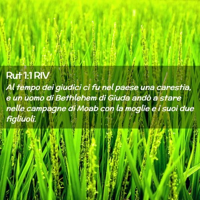 Picture 02 - Rut 1:1 RIV - Al tempo dei giudici ci fu nel paese una - Bible Verse Picture