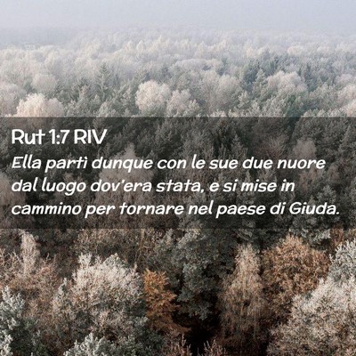 Picture 02 - Rut 1:7 RIV - Ella partì dunque con le sue due nuore dal luogo - Bible Verse Picture