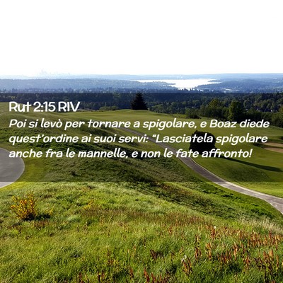 Picture 02 - Rut 2:15 RIV - Poi si levò per tornare a spigolare, e Boaz - Bible Verse Picture