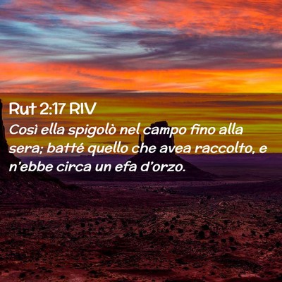Picture 02 - Rut 2:17 RIV - Così ella spigolò nel campo fino alla sera; - Bible Verse Picture