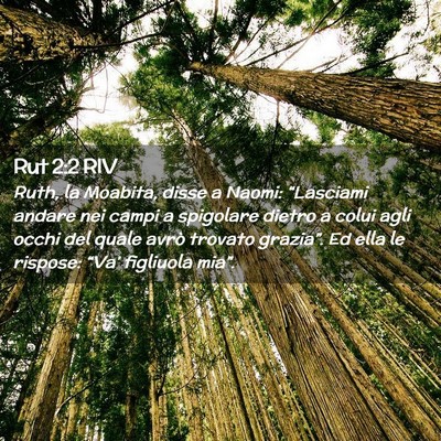 Picture 02 - Rut 2:2 RIV - Ruth, la Moabita, disse a Naomi: “Lasciami - Bible Verse Picture