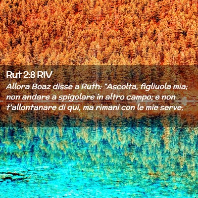 Picture 02 - Rut 2:8 RIV - Allora Boaz disse a Ruth: “Ascolta, figliuola - Bible Verse Picture