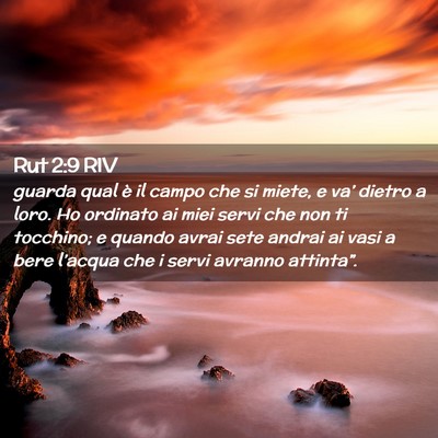 Picture 02 - Rut 2:9 RIV - guarda qual è il campo che si miete, e va’ - Bible Verse Picture