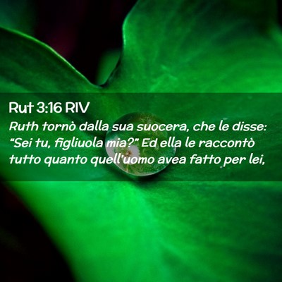 Picture 02 - Rut 3:16 RIV - Ruth tornò dalla sua suocera, che le disse: - Bible Verse Picture
