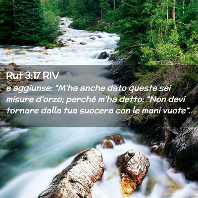 Picture 02 - Rut 3:17 RIV - e aggiunse: “M’ha anche dato queste sei - Bible Verse Picture