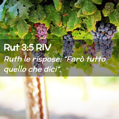 Picture 02 - Rut 3:5 RIV - Ruth le rispose: “Farò tutto quello che - Bible Verse Picture