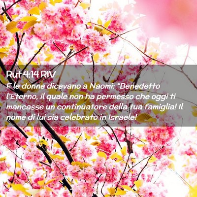 Picture 02 - Rut 4:14 RIV - E le donne dicevano a Naomi: “Benedetto - Bible Verse Picture
