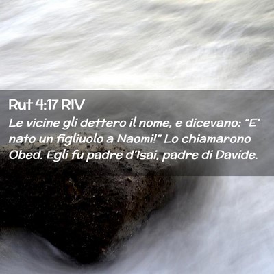 Picture 02 - Rut 4:17 RIV - Le vicine gli dettero il nome, e dicevano: - Bible Verse Picture