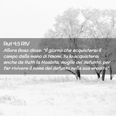 Picture 02 - Rut 4:5 RIV - Allora Boaz disse: “Il giorno che acquisterai - Bible Verse Picture