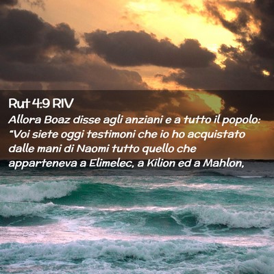 Picture 02 - Rut 4:9 RIV - Allora Boaz disse agli anziani e a tutto il - Bible Verse Picture
