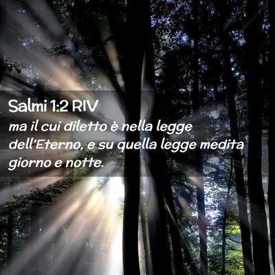 Picture 02 - Salmi 1:2 RIV - ma il cui diletto è nella legge dell’Eterno, e - Bible Verse Picture