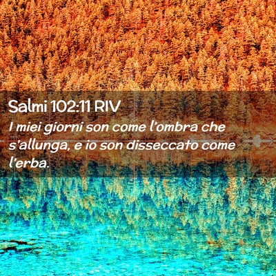 Picture 02 - Salmi 102:11 RIV - I miei giorni son come l’ombra che s’allunga, - Bible Verse Picture