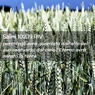 Picture 02 - Salmi 102:19 RIV - perch’egli avrà guardato dall’alto del suo - Bible Verse Picture