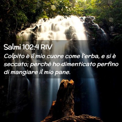 Picture 02 - Salmi 102:4 RIV - Colpito è il mio cuore come l’erba, e si è - Bible Verse Picture