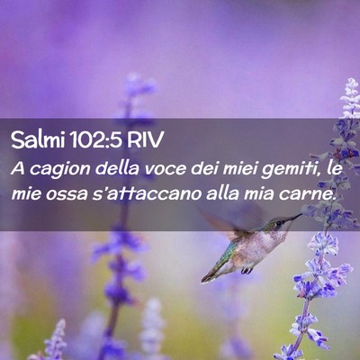 Picture 02 - Salmi 102:5 RIV - A cagion della voce dei miei gemiti, le mie ossa - Bible Verse Picture