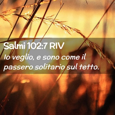 Picture 02 - Salmi 102:7 RIV - Io veglio, e sono come il passero solitario sul - Bible Verse Picture