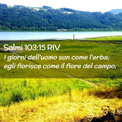 Picture 02 - Salmi 103:15 RIV - I giorni dell’uomo son come l’erba; egli - Bible Verse Picture