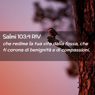 Picture 02 - Salmi 103:4 RIV - che redime la tua vita dalla fossa, che ti corona - Bible Verse Picture