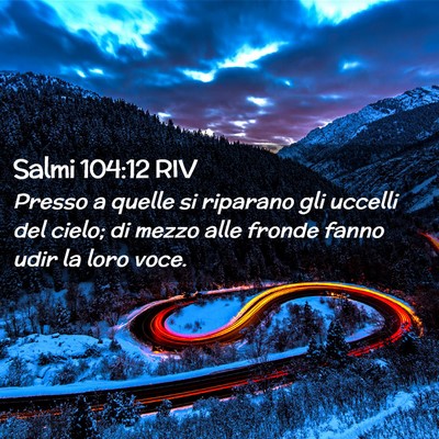 Picture 02 - Salmi 104:12 RIV - Presso a quelle si riparano gli uccelli del - Bible Verse Picture