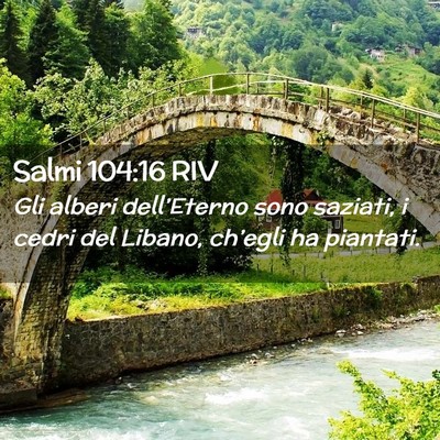 Picture 02 - Salmi 104:16 RIV - Gli alberi dell’Eterno sono saziati, i cedri - Bible Verse Picture