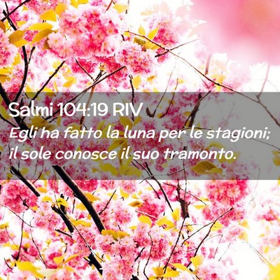 Picture 02 - Salmi 104:19 RIV - Egli ha fatto la luna per le stagioni; il sole - Bible Verse Picture