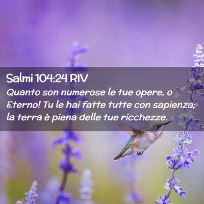 Picture 02 - Salmi 104:24 RIV - Quanto son numerose le tue opere, o Eterno! Tu le - Bible Verse Picture