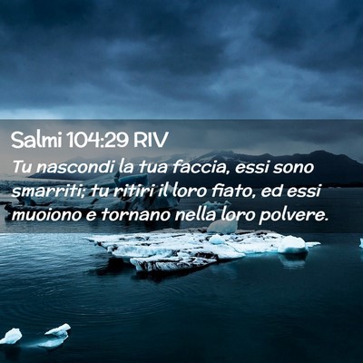Picture 02 - Salmi 104:29 RIV - Tu nascondi la tua faccia, essi sono smarriti; tu - Bible Verse Picture