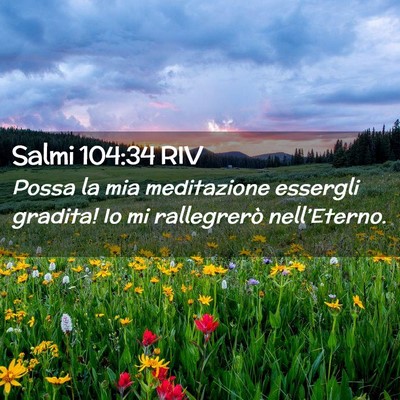 Picture 02 - Salmi 104:34 RIV - Possa la mia meditazione essergli gradita! Io mi - Bible Verse Picture